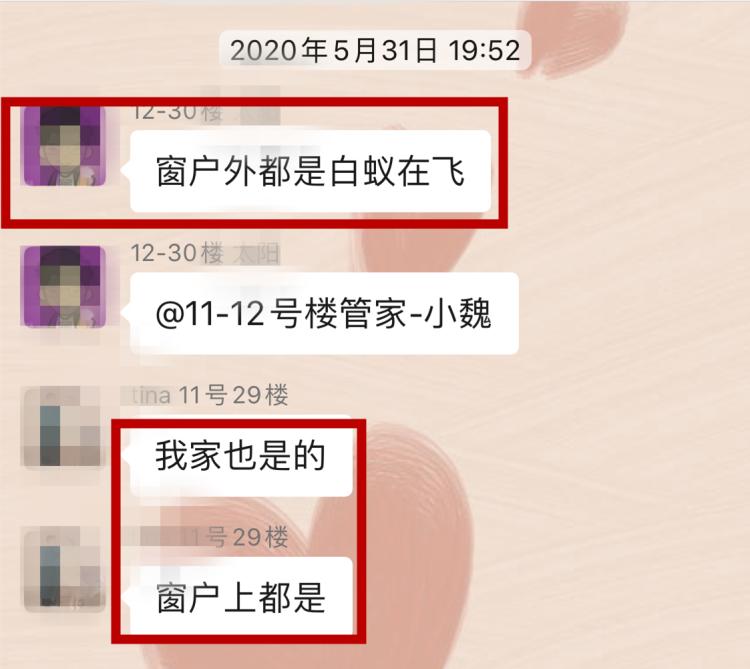 灭白蚁的收费标准_专业灭白蚁一次多少钱_灭白蚁收费吗