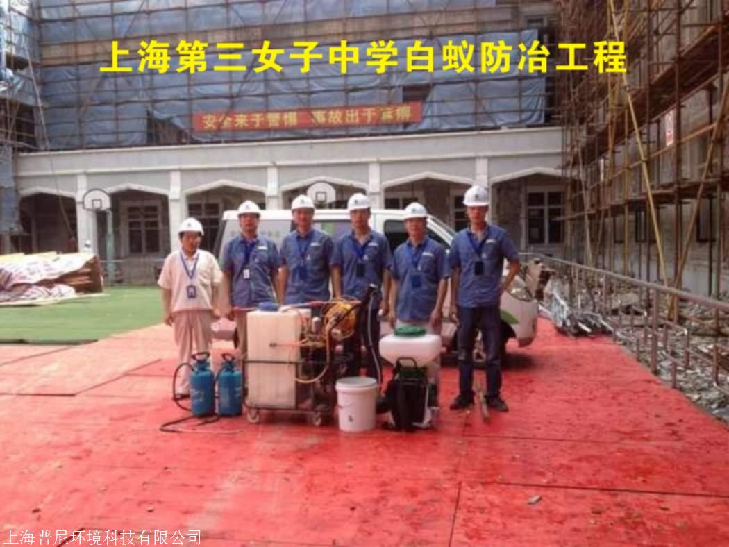 灭白蚁农药_灭白蚁专用药_灭专用药白蚁怎么办