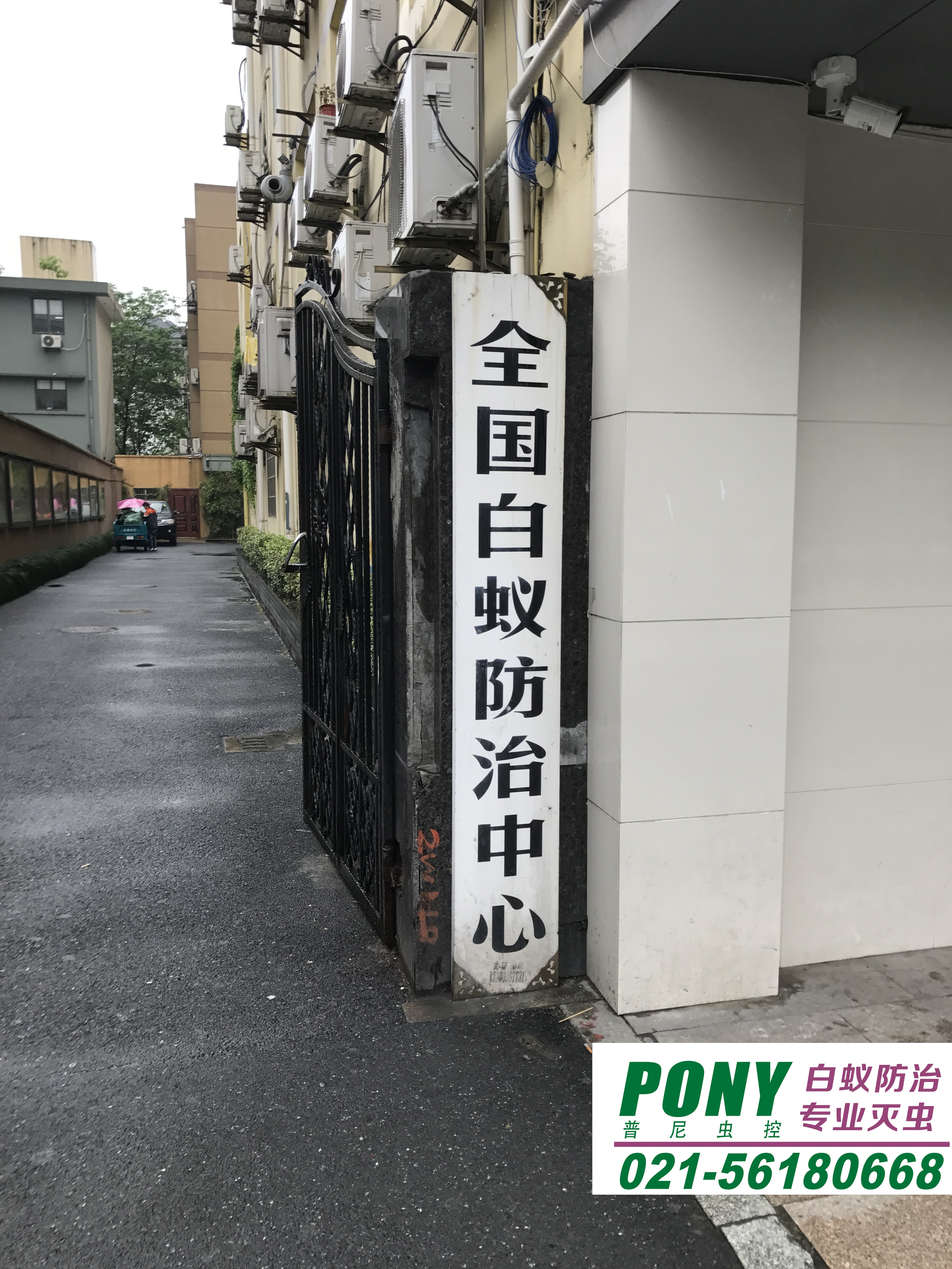 灭白蚁专用药_灭白蚁农药_灭专用药白蚁怎么办