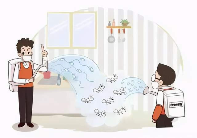 灭白蚁一年后又发现白蚁怎么办_白蚁消杀后还会有吗_白蚁灭了还会反复吗