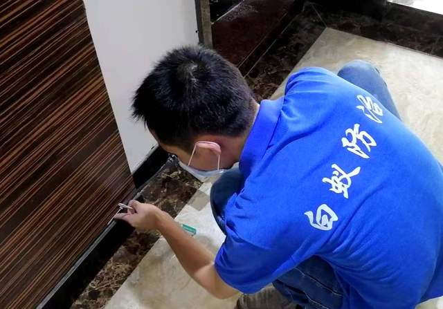 白蚁灭了还会反复吗_灭白蚁一年后又发现白蚁怎么办_白蚁消杀后还会有吗