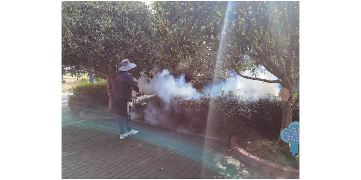 吴兴区上门灭白蚁,灭