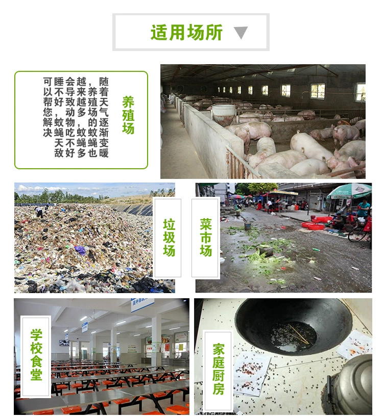 灭跳蚤的药有毒吗_灭跳蚤的药粉_跳蚤用什么药可以灭