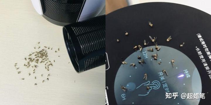 灭苍蝇的灯是什么原理_灭苍蝇灯对人有害吗_灭苍蝇灯有用吗