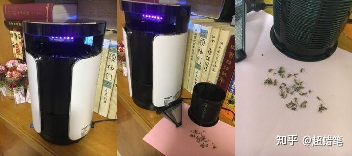 灭苍蝇灯对人有害吗_灭苍蝇灯有用吗_灭苍蝇的灯是什么原理