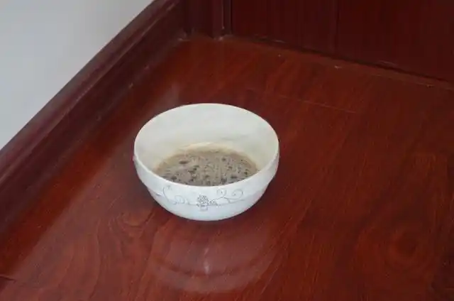 小妙招灭蚊子(妙招姐)_灭蚊子小妙招有哪些_灭蚊子的小妙方