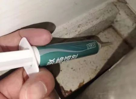 灭蟑螂最有效方法_蟑螂如何灭_蟑螂的杀灭方法