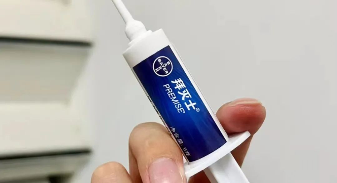 灭蟑螂最有效方法_蟑螂如何灭_蟑螂的杀灭方法