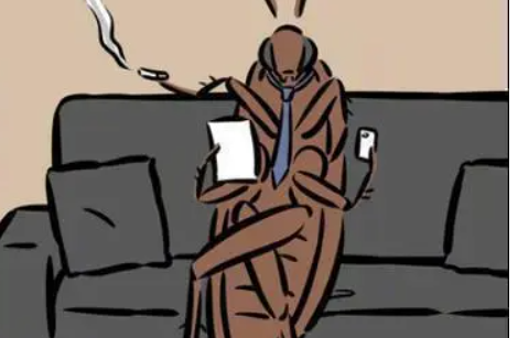 灭蟑螂最有效方法_蟑螂的杀灭方法_蟑螂如何灭