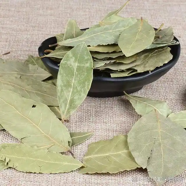 杀虫剂对跳蚤的有用成分有哪些_杀虫剂杀跳蚤哪个牌子效果好_灭跳蚤最好的杀虫剂