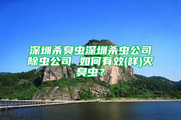 深圳杀臭虫深圳杀虫公司除虫公司 如何有效(咩)灭臭虫？